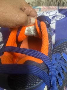 Lining Shoe