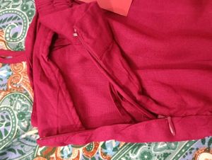 Maroon Staright Pant