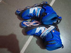 Blue Roller Skates