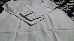 Light Green D&#39;Lero 100% Pure Soft Cotton Shirt