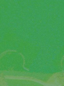 Lime Green Women Pullover