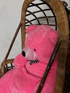 Pink Plush Teddy Bear