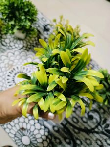 8 Artificial Set of Plants
