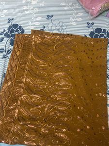 Beautiful brown Saree with blouse