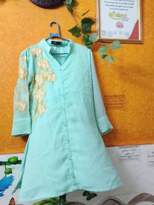 Pakistani Style Green Embroidered Tunic Top