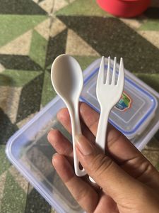 Lunch Box