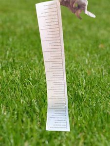 Hot fix stone border design