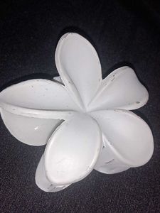 Hair Clip Bundle🎀