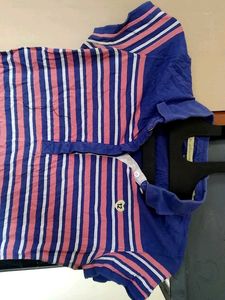 Striped Polo Shirt
