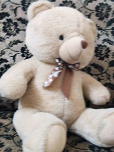 Teddy Bear Toy