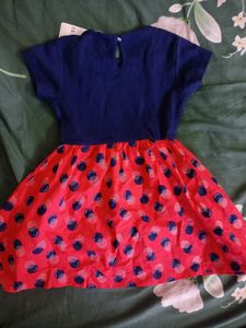 Navy Blue KG Freendz Fronk