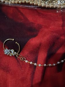 Nose Ring with Chain