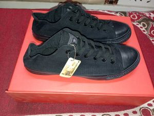 Converse All Star Chuck Taylor Low Top Sneakers