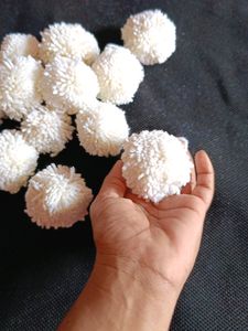 Pom Pom