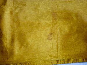 Designer Mustard Saree