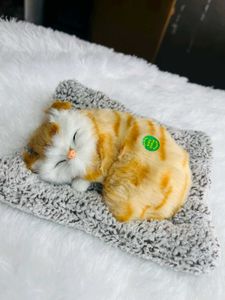 Cute Kitty Toy