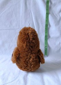 Kiwi Bird Plush