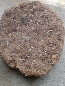 Organic Fertilizer Cow Dung Cake Pack Of 5