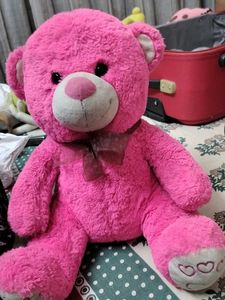 Pink Teddy Bear
