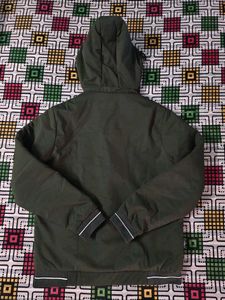 Men Olive Hooded Jacket