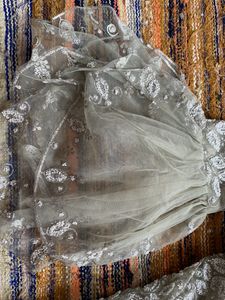 Anarkali Style Choli With Designer Sleeves And Choli And Dupataa