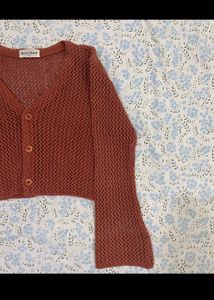 Rust Mini Bee Cardigan Top