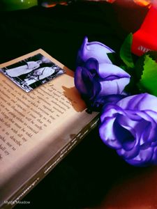 ❤️‍🔥The Story Of My Life With Truth:Gandhiji