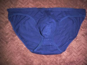 Blue Briefs