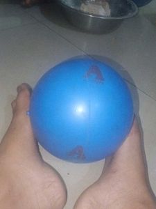 Sijs