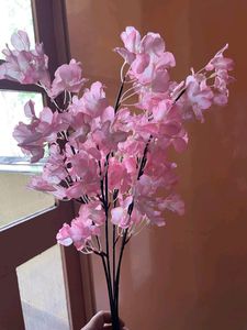 Beautiful Flowers