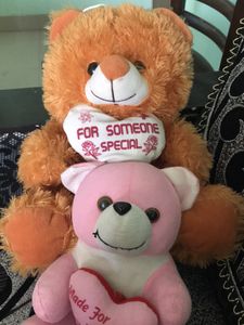 Combo Pink and Brown Soft Tou