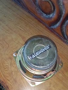 4in 30w Subwoofer Brand New