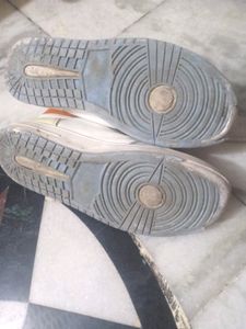High Neck Shoes