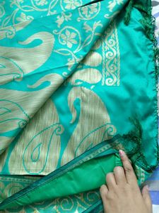 Beautiful Soft Green Saree