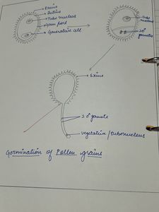 Biology Class 12th Practical File