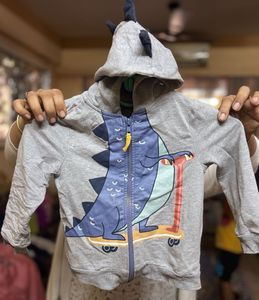 Dino Hoodie With 3D Spikes And Soft Cotton Lining