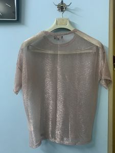 Pink Shimmering Top Only For 169
