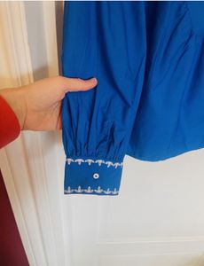 Zara Blue Embroidered Top