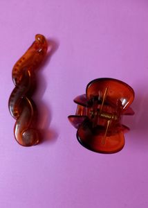 Pair Of Honey Color Elegant Hair Clips