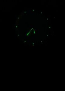 Titan Wrist Watch