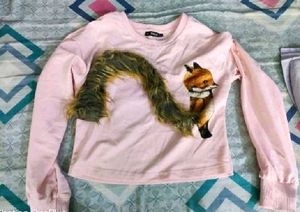 Cute Fox Graphic Pink Sweatshirt