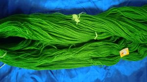parrot green wool
