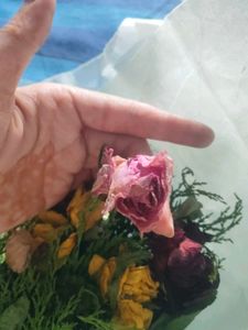 Dry Flower