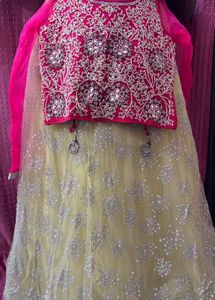 Embroidered Lehenga Choli