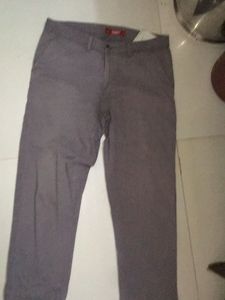 Pant