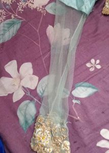 Elegant Embroidered Pakistani Dress