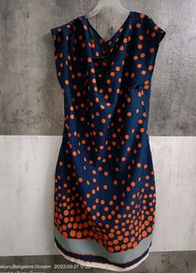 Polka Dot Dress