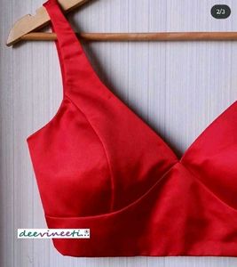 Sabyasachi blouse padded