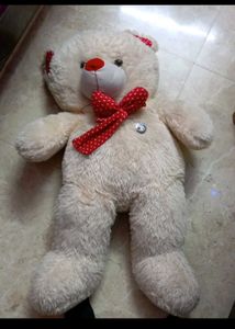 Teddy For Sale