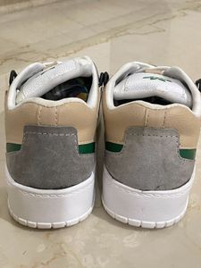 Sneakers Shoe